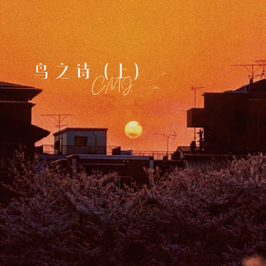 欧美人与性口性校配
