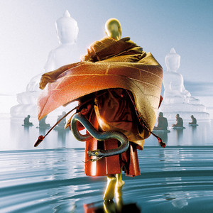 欧美人与性口性校配
